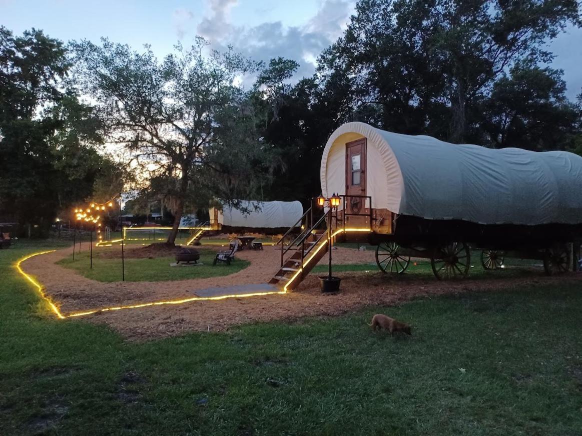 Rooterville Animal Sanctuary Melrose Exterior foto